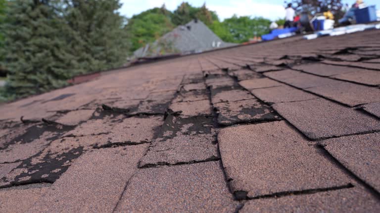 Best Sheet Metal Roofing  in Los Altos Hills, CA