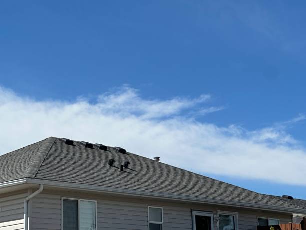Best Roof Maintenance and Cleaning  in Los Altos Hills, CA